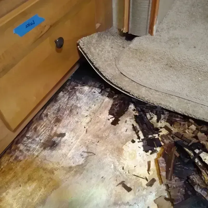 Wood Floor Water Damage in Snowmass Village, CO